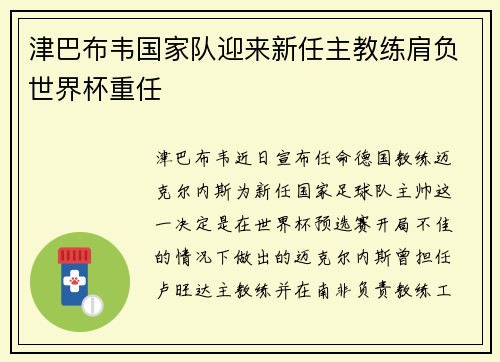 津巴布韦国家队迎来新任主教练肩负世界杯重任